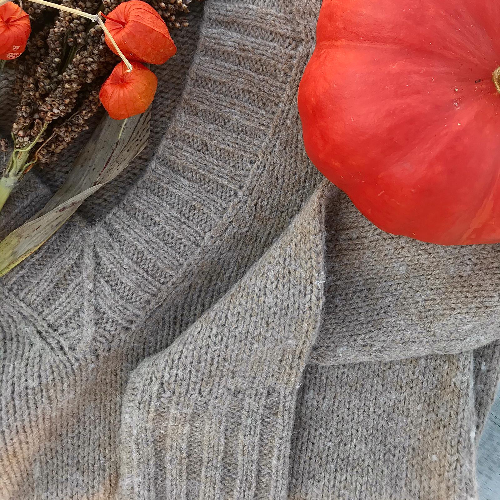 Brown V neck sweater with pumpkins